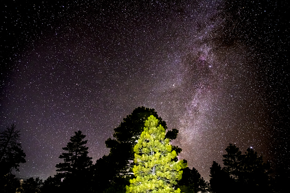 20211207_BryceCanyonNP_AY8U8820_Print